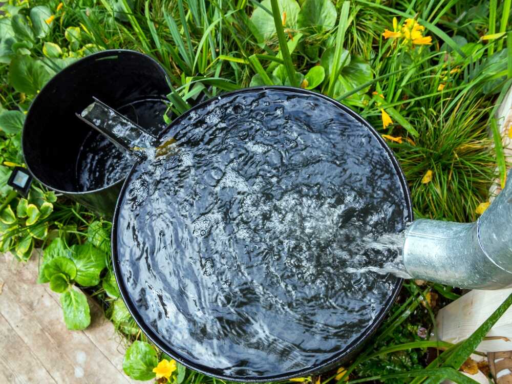 Captación pluvial, una opción sustentable