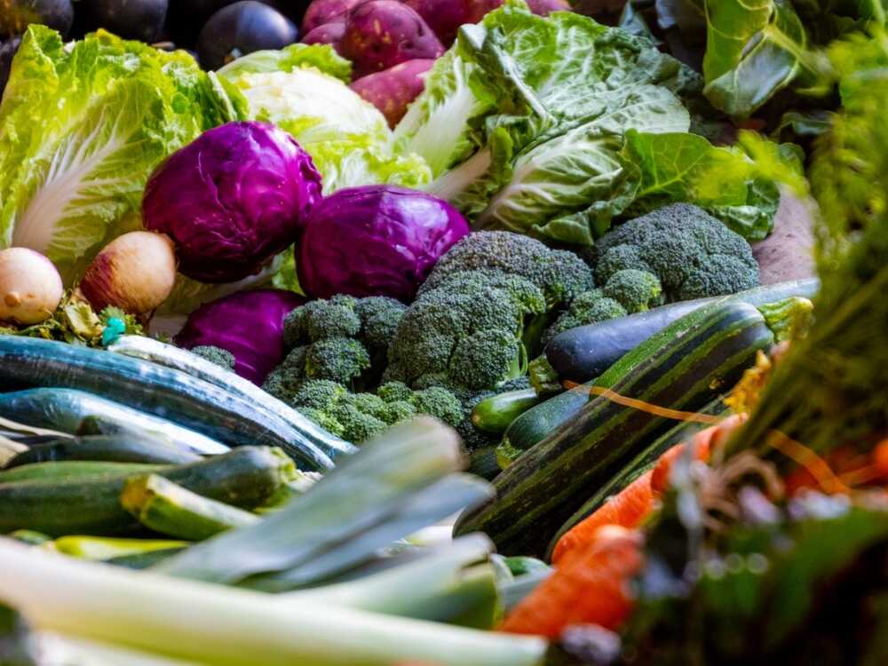 alimentos