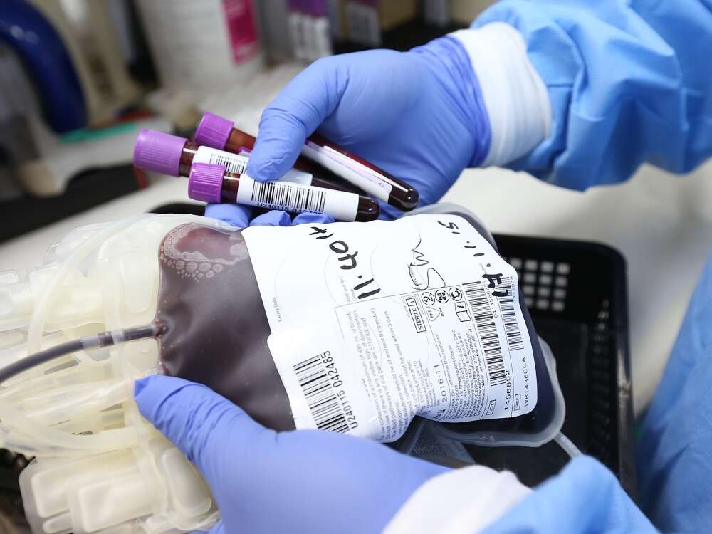 donacion de sangre