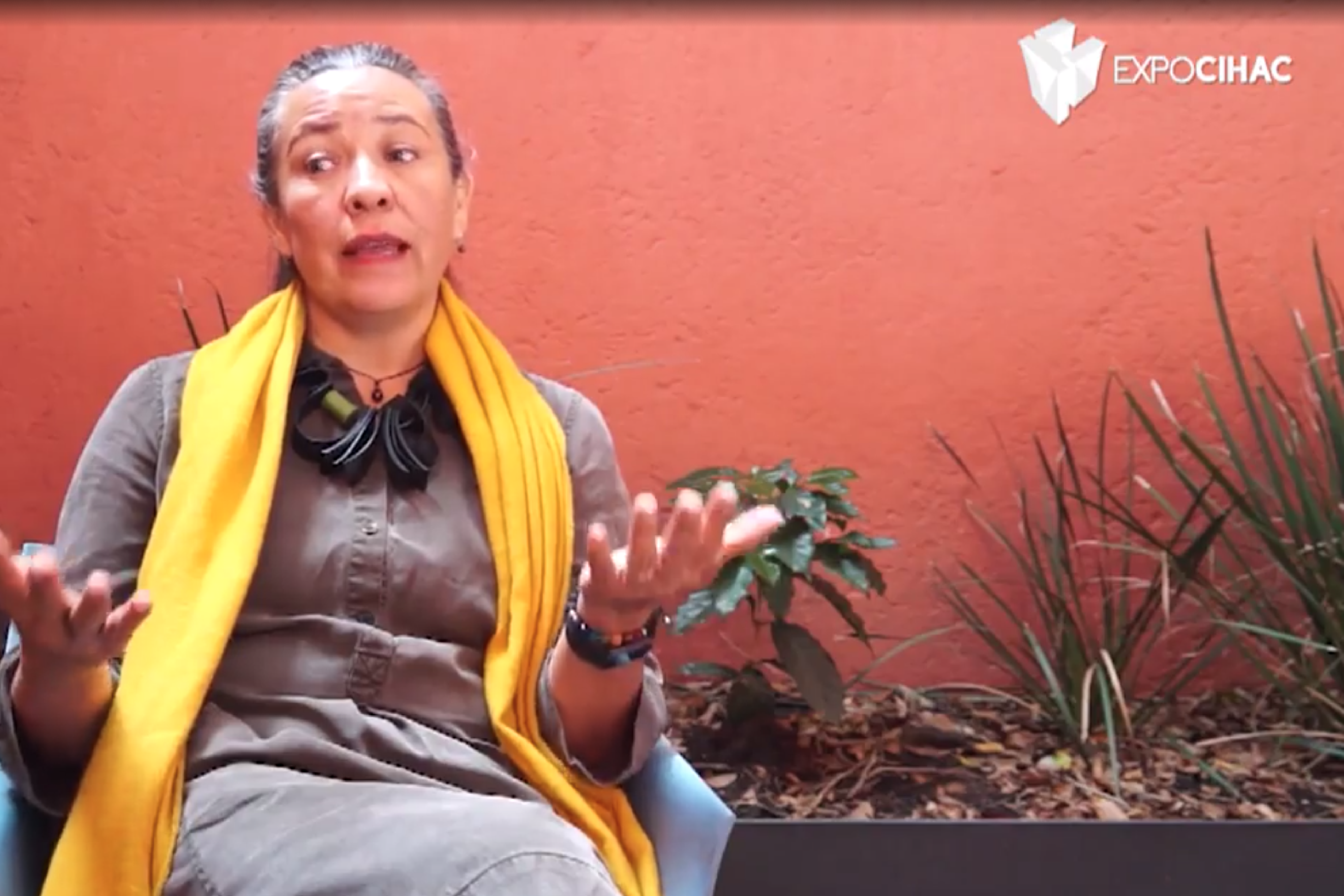 Video: Alicia Silva Villanueva, Revitaliza Consultores