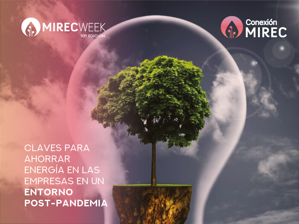 WEBINAR | Claves para ahorrar energía en las empresas en un entorno post-pandemia